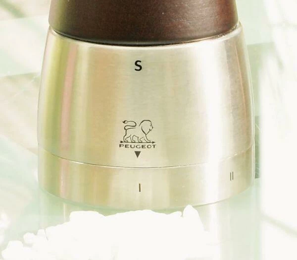 PEUGEOT Salzmühle Daman U′Select In Schokolade 16 Cm – Bild 6